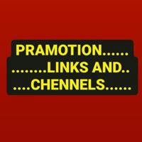 PROMOTION CHENNEL SELECT
