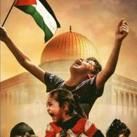 اخبار فلسطين غزة الآن الحدث