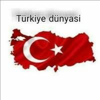 "Turkiye dunyasi"