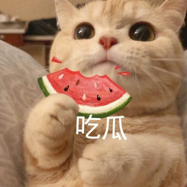 🍉吃瓜搞笑猎奇中心🌚