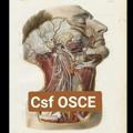 Csf OSCE