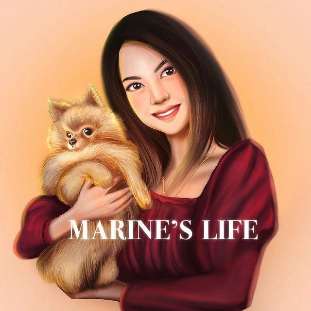 MARINE'S LIFE