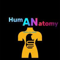 Human Anatomy | Science 🧬