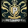 PUNNET_JACKPOT_KING_TIPS_BHAI (2015)