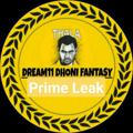 Dream11 Dhoni Prime Leak