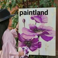 Paintland