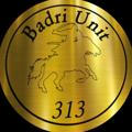 Badri Unit 313