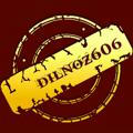 dilnoz606