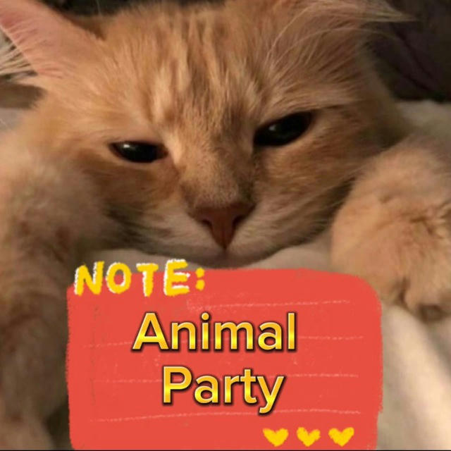 Animal Party