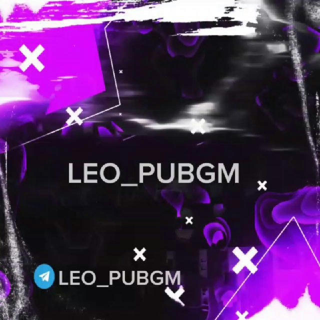 LEO_PUBGM