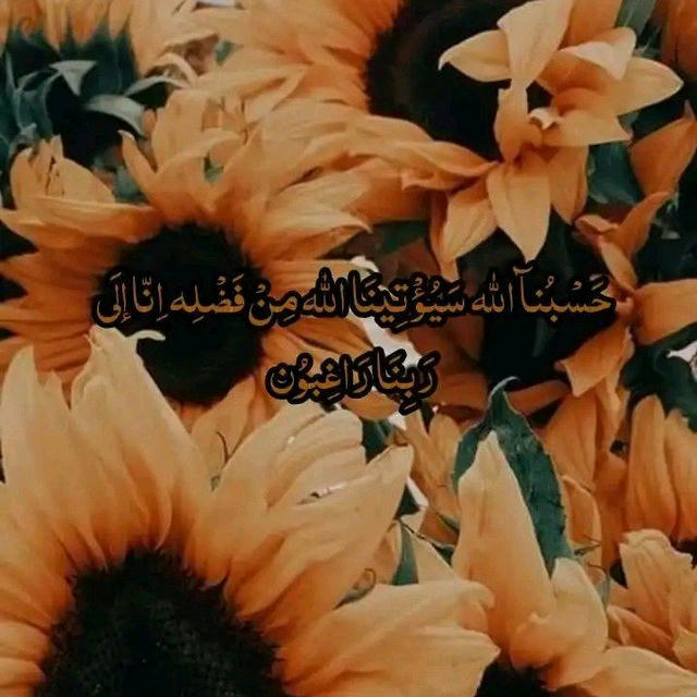 اللِّـينةُ ⁦♡⁠