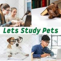 Let's Study Pets Channel 💪