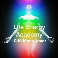 🙏Life Energy Academy
