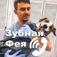 dogguru - Дмитрий. Чистка зубов собакам без наркоза Москва