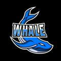 Big Whale VN