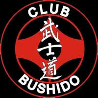 BUSHIDO | ШКОЛА КАРАТЭ