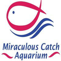 Miraculous Catch Aquarium