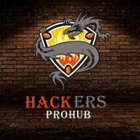 Hackers Prohub™