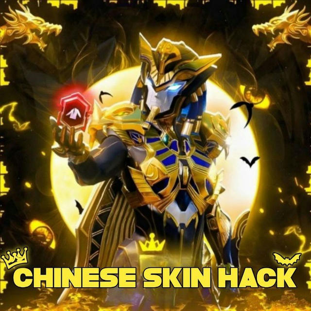 SKIN HACK FEEDBACK