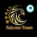 Falcons Team