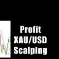 Profit Xauusd Scalping🔰