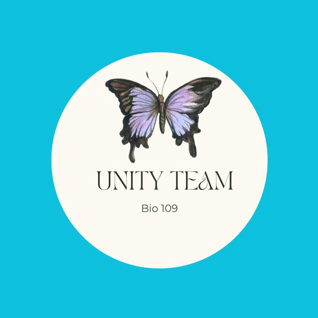 Unity 445|حين109