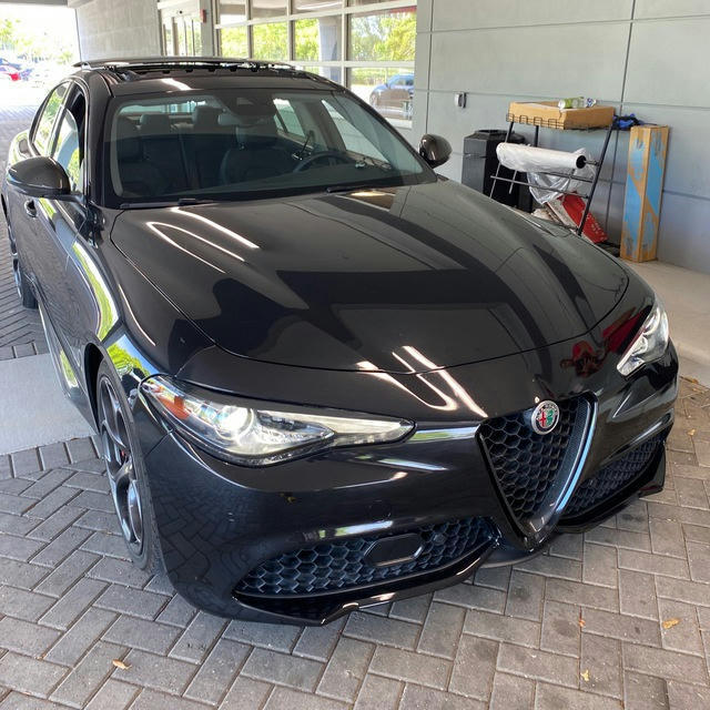 TOP ALFA🦈