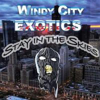 Windy City Exotics