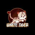 WHITE TIGER 中文通話