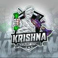 KRISHNA ACCOUNT STORE