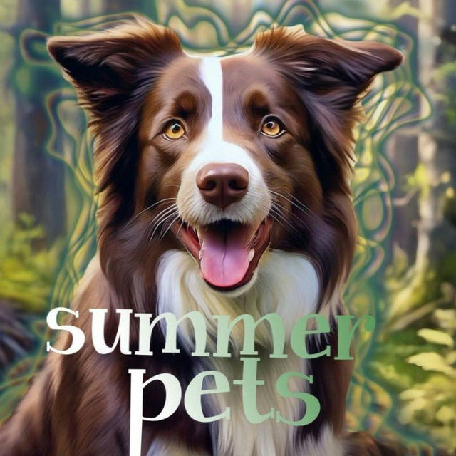 Summer pets 🌷🤍
