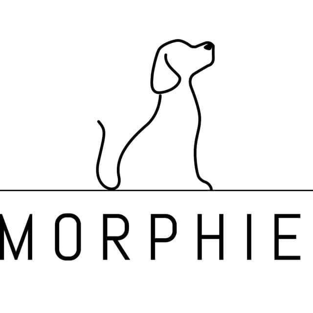 MorphieNetworkAnn