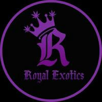 Royal Exotics