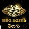 BIGG BOSS SEASON 05