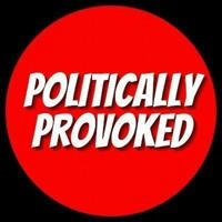 Politically Provoked
