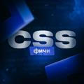 CSS Фичи