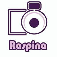 🟣 Raspina team 🟣