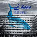 BLUEwHALE - نهنگ آبی