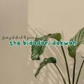 The Bidadari Dakwah 🤍