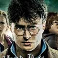 Cineminha - Saga Harry Potter e Animais Fantásticos