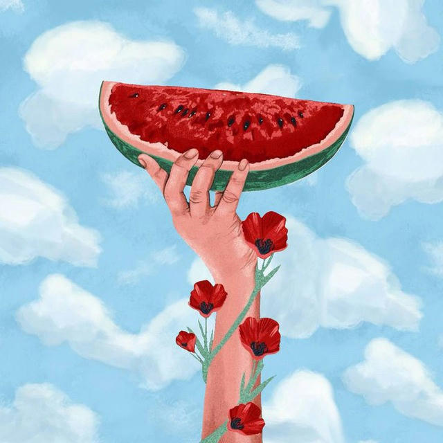 شَبَابِيـــكُ | 🍉