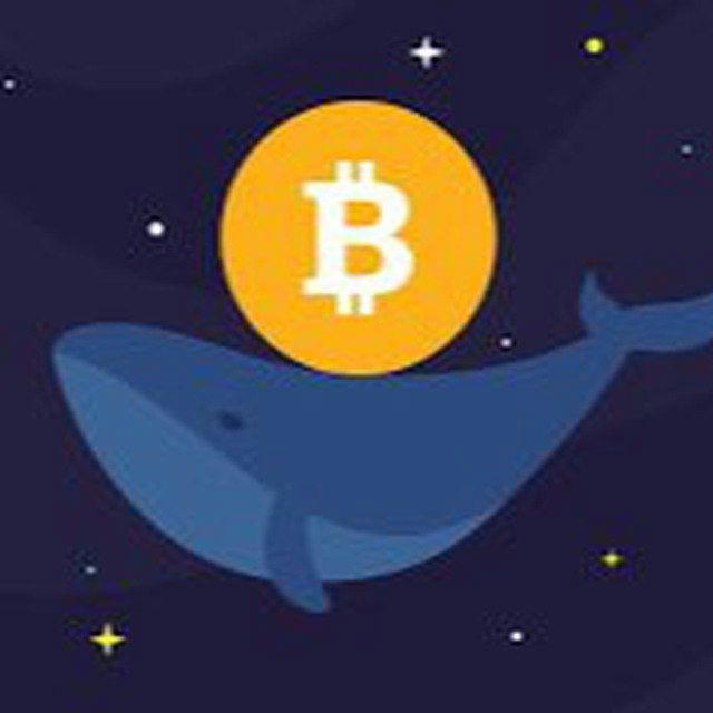 Trading Future Whales VN