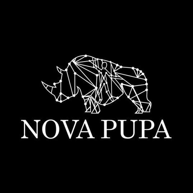 Nova Pupa Announcement channel
