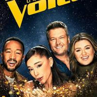 The Voice USA Season 25