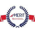 Merit team