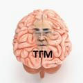Тулеев головного мозга