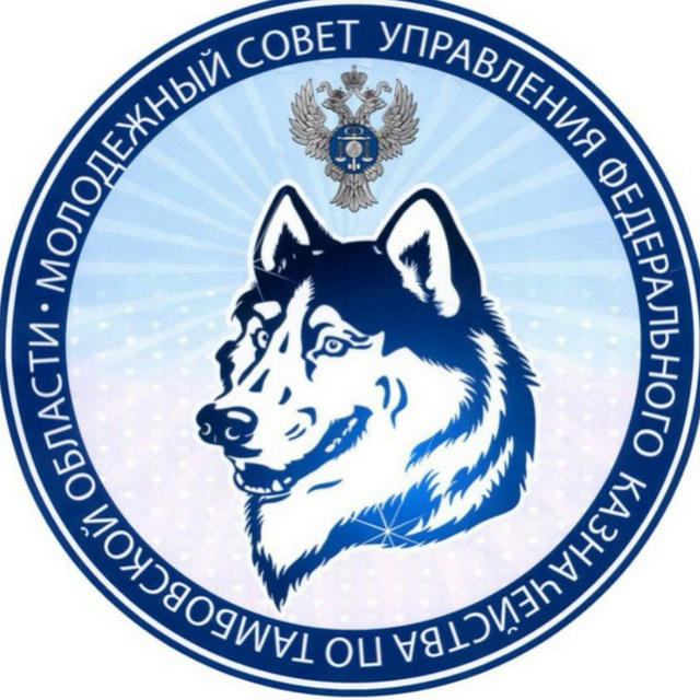 Молодёжный совет УФК по Тамбовской области
