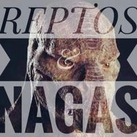 Reptos und Nagas / Reptilians, Aliens, UFOs, Klone, Adrenochrome