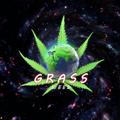 ⚜️ GRASS 420 ⚜️