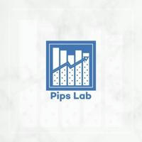 PIPS LAB ACADEMY(Free Channel)